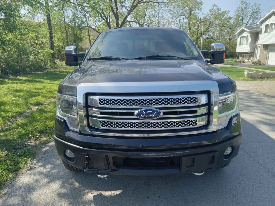 2014 Ford F-150 Platinum photo 2