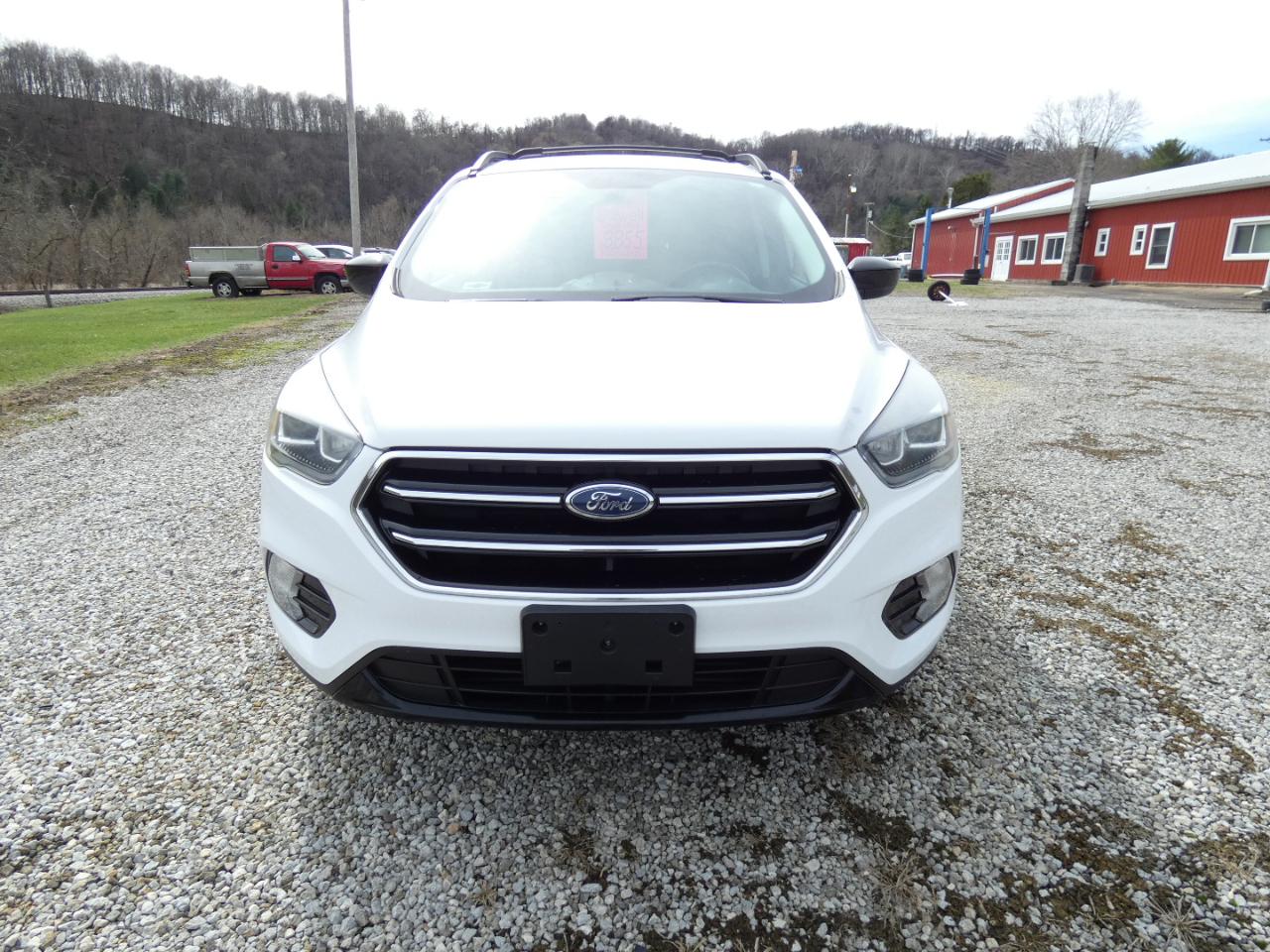 Ford Escape SE 4WD 2017
