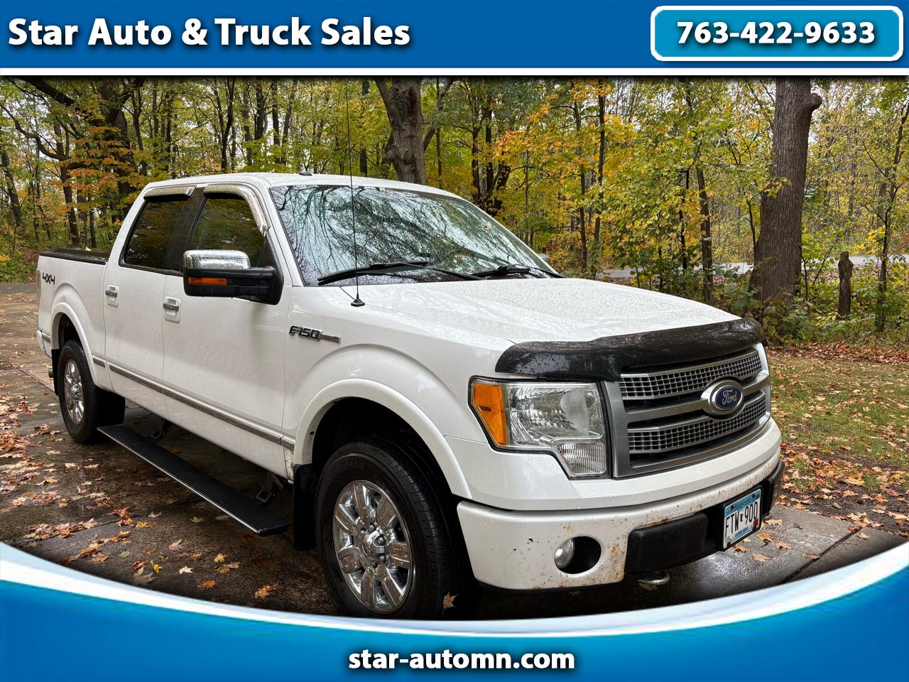 2010 Ford F-150 4WD SuperCrew 145" Platinum