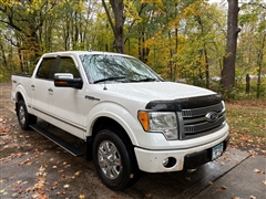 2010 Ford F-150  2010 Ford F-150