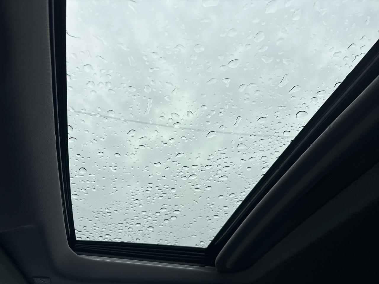 Chevrolet Silverado 1500 4WD Crew Cab 147" LT 2019