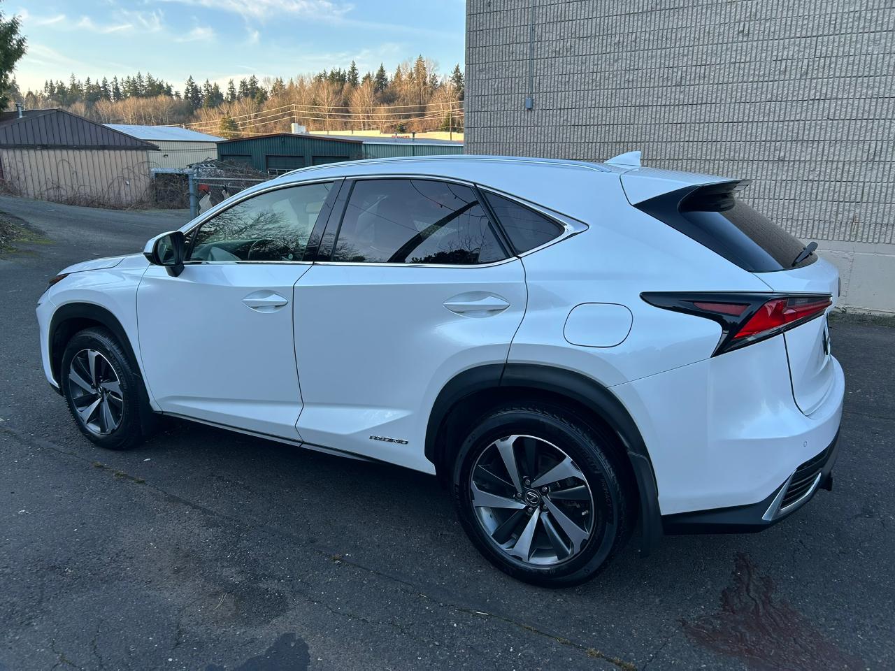 Lexus NX 300h AWD 2018