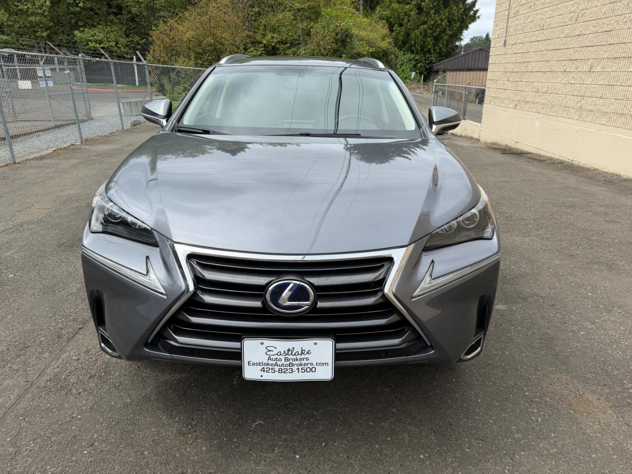 Lexus NX 300h AWD 2016