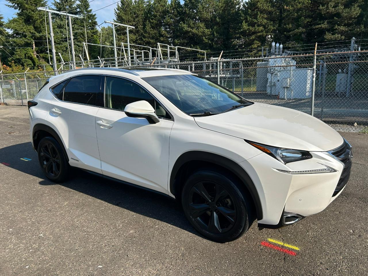 Lexus NX 300h AWD 2017
