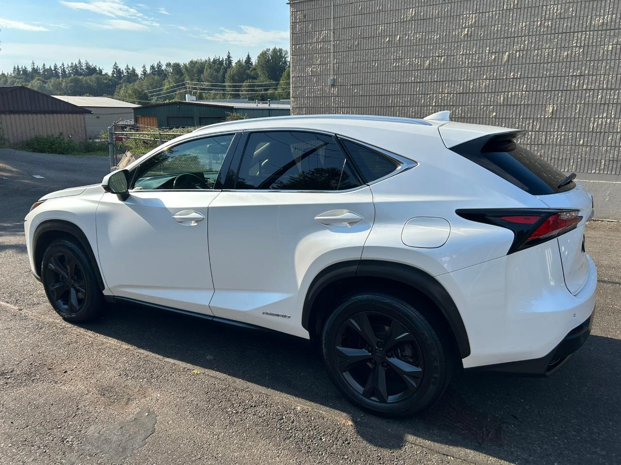 Lexus NX 300h AWD 2017