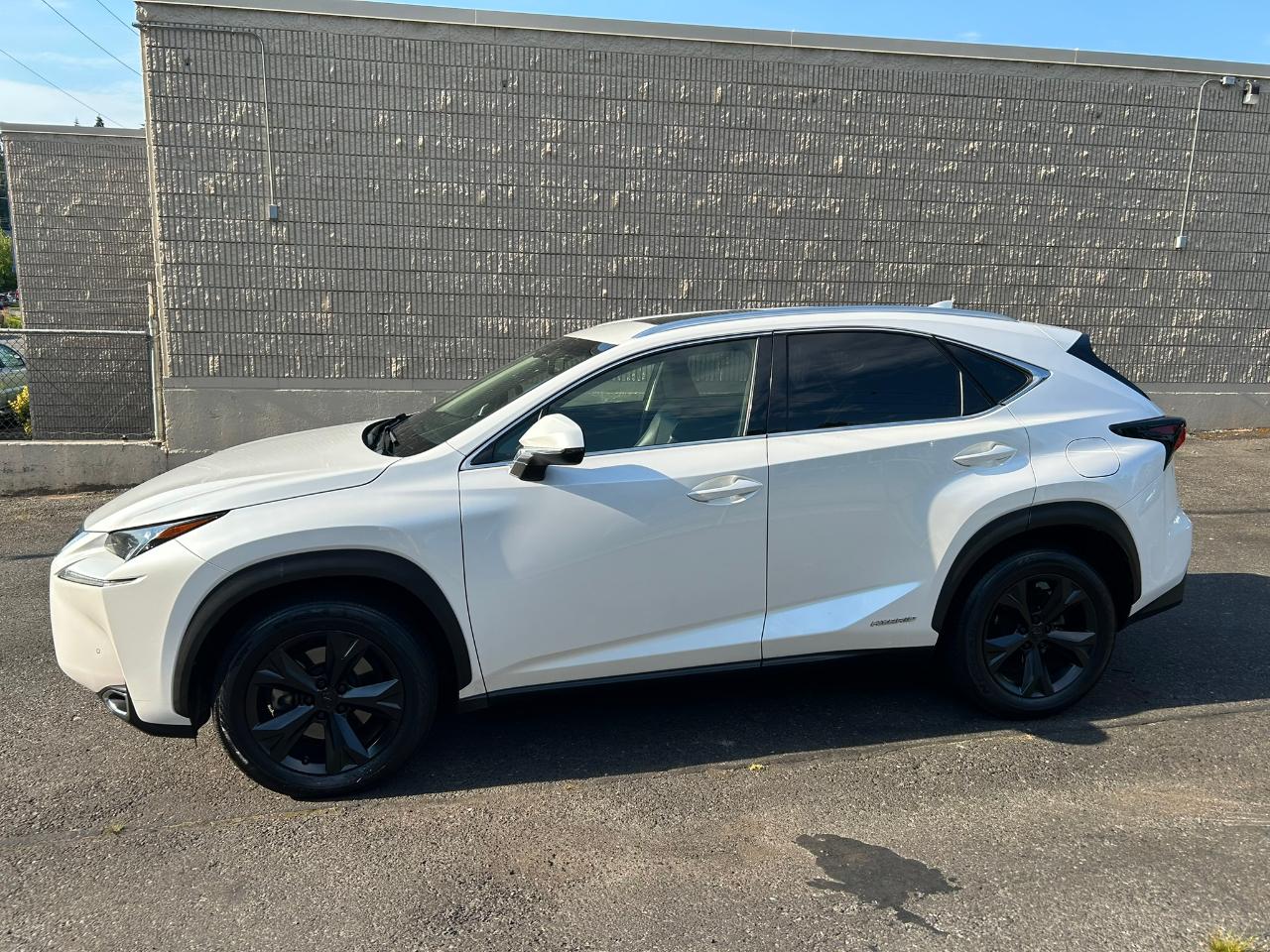 Lexus NX 300h AWD 2017