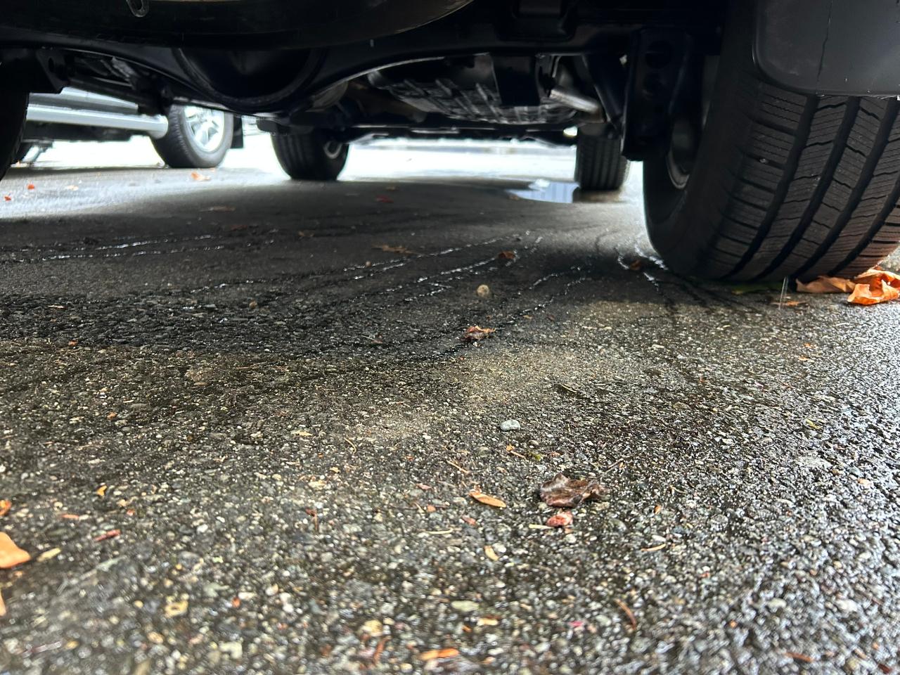 Toyota Land Cruiser 4WD 2016