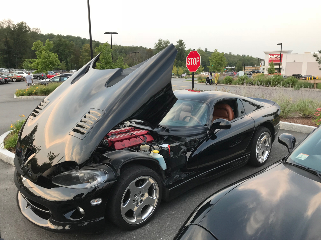 Used 1999 Dodge Viper GTS for Sale in Jaffrey NH 03452 The Jack Keane