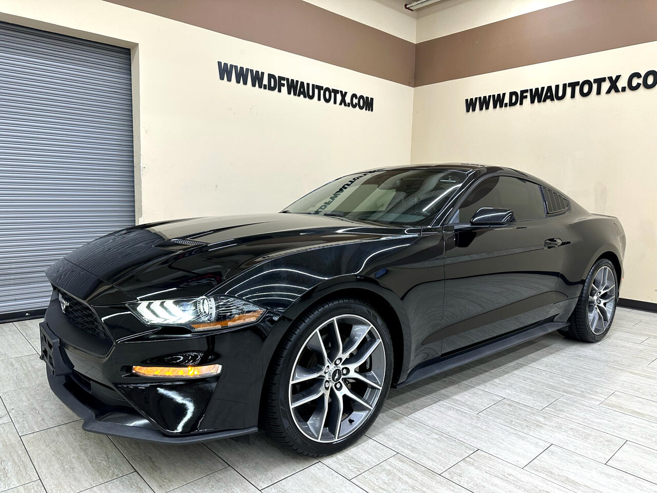 2019 Ford Mustang EcoBoost photo 2