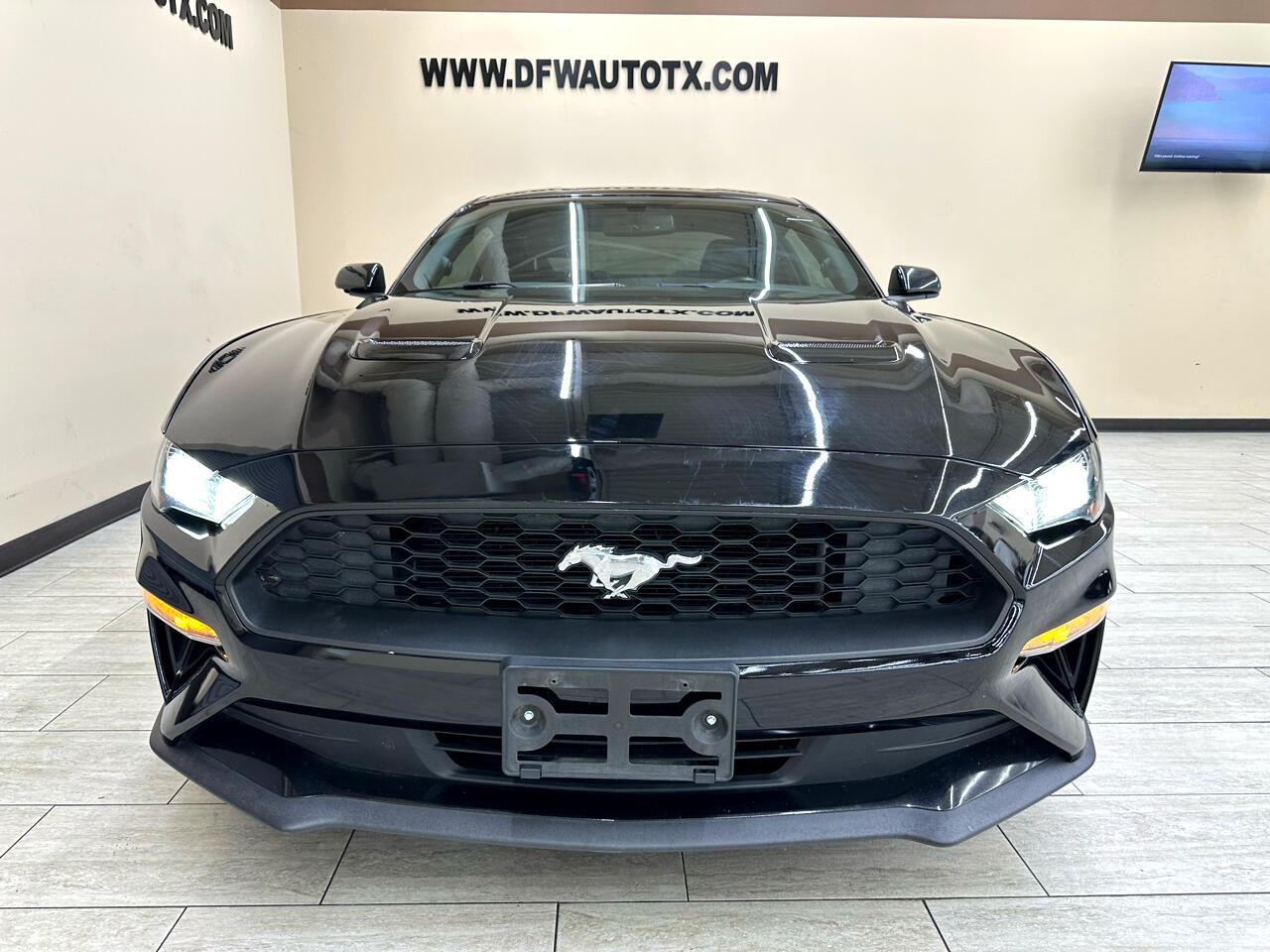 2019 Ford Mustang EcoBoost photo 3