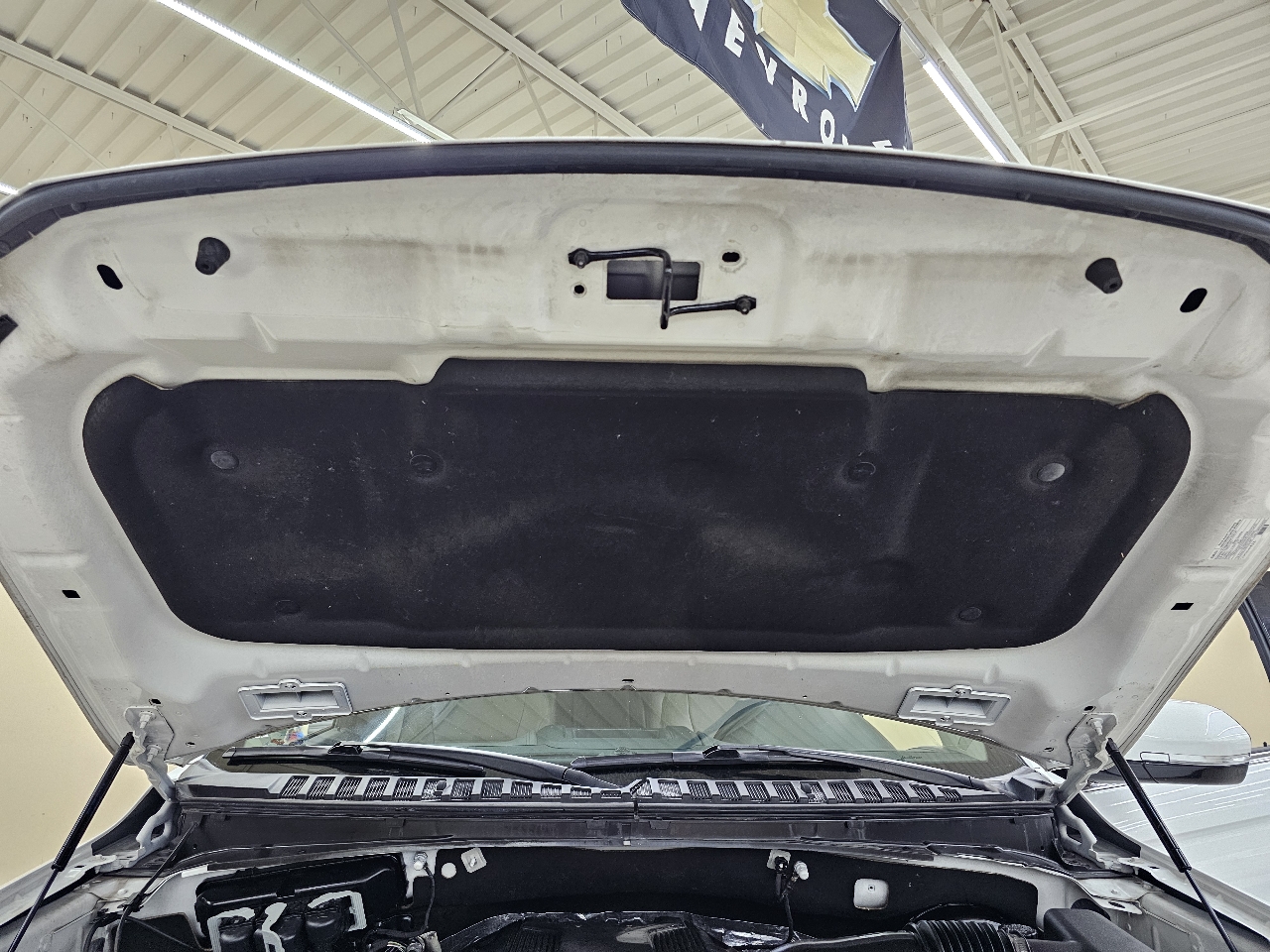 Ford Expedition  2020