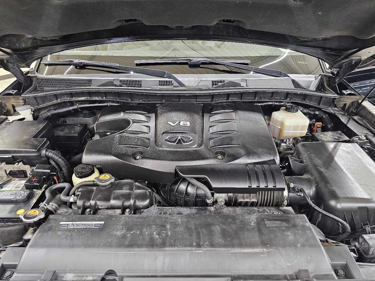 Infiniti QX80 LUXE 2019