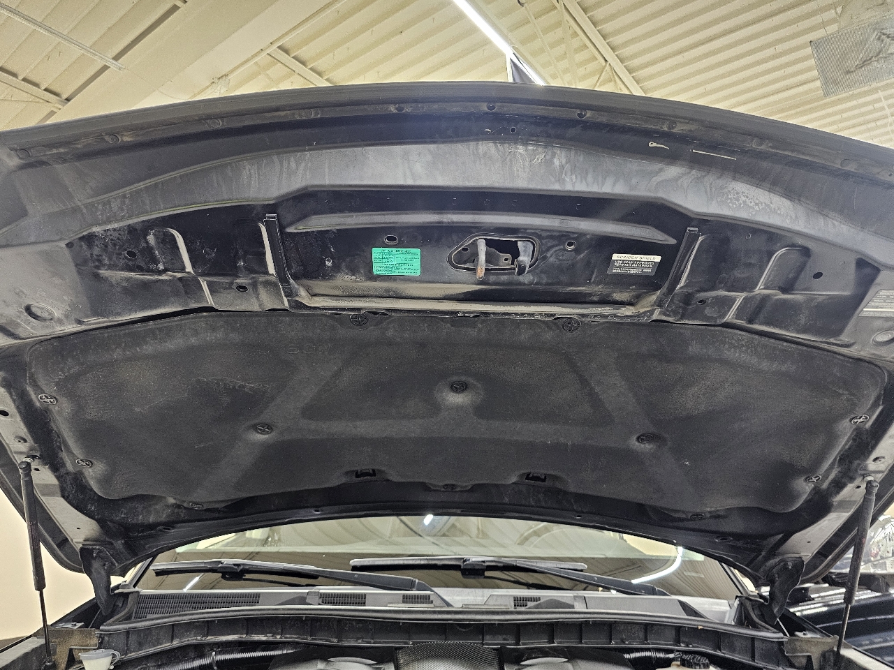 Infiniti QX80 LUXE 2019