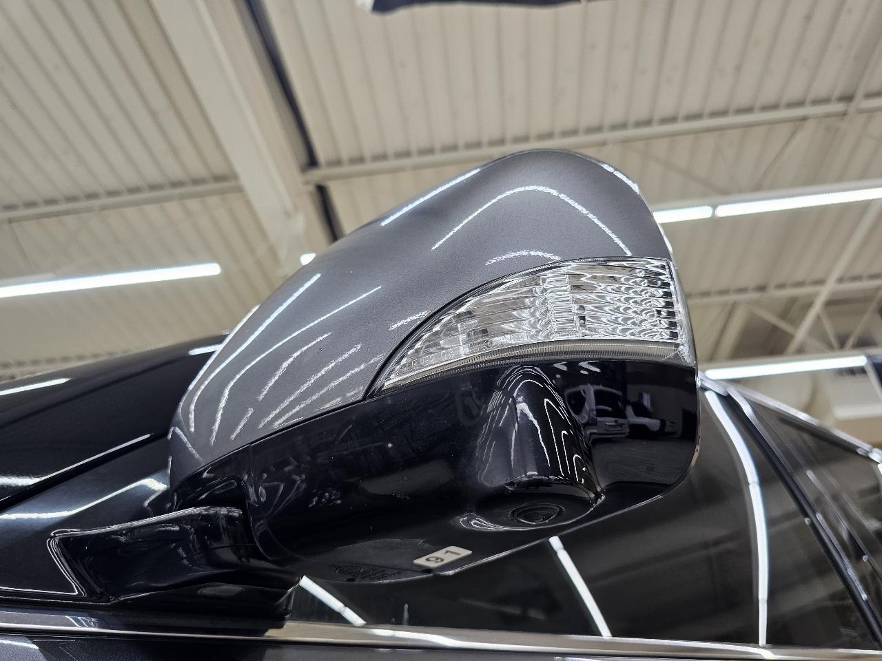 Infiniti QX80 LUXE 2019