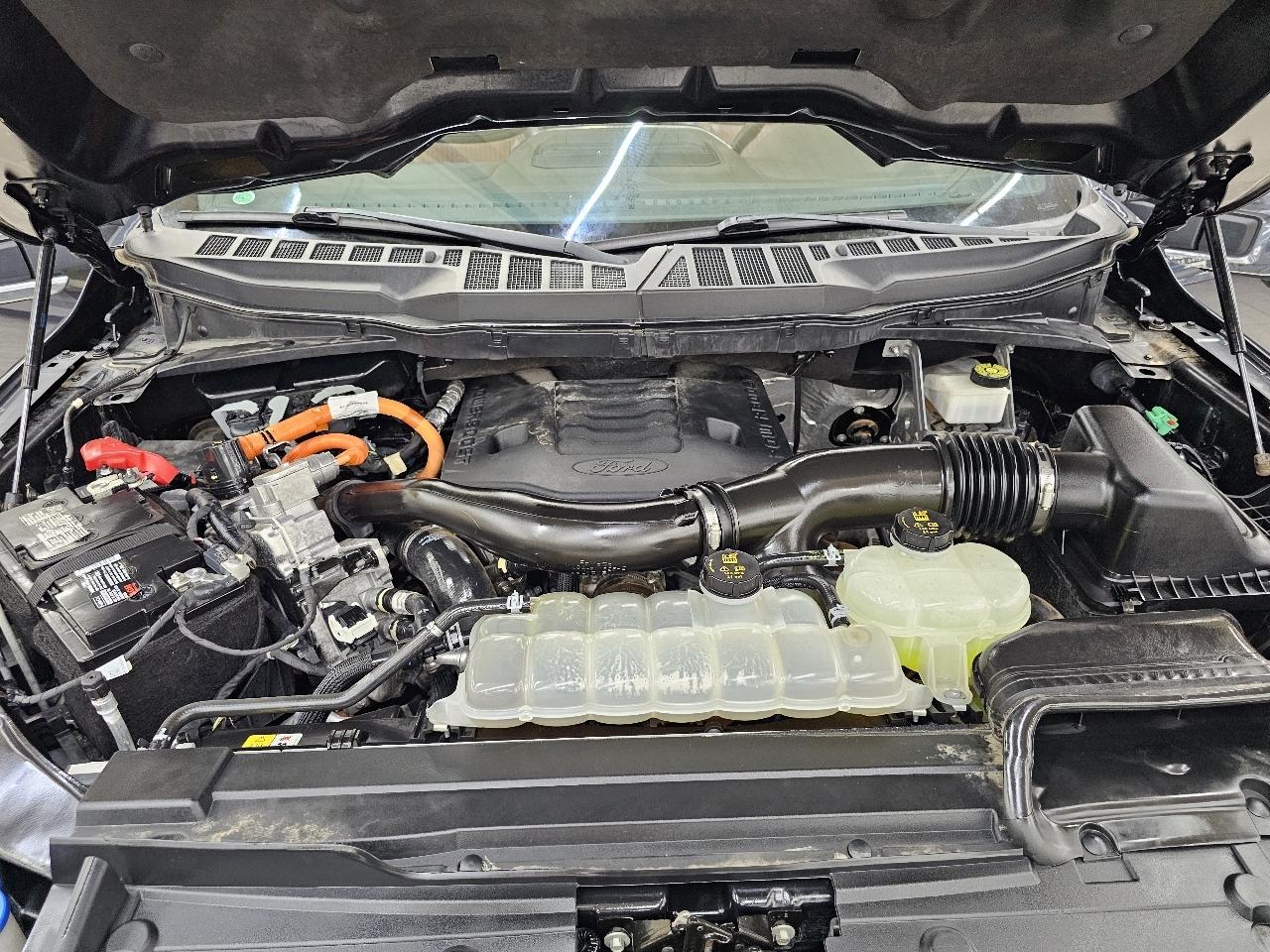 Ford F-150  2022