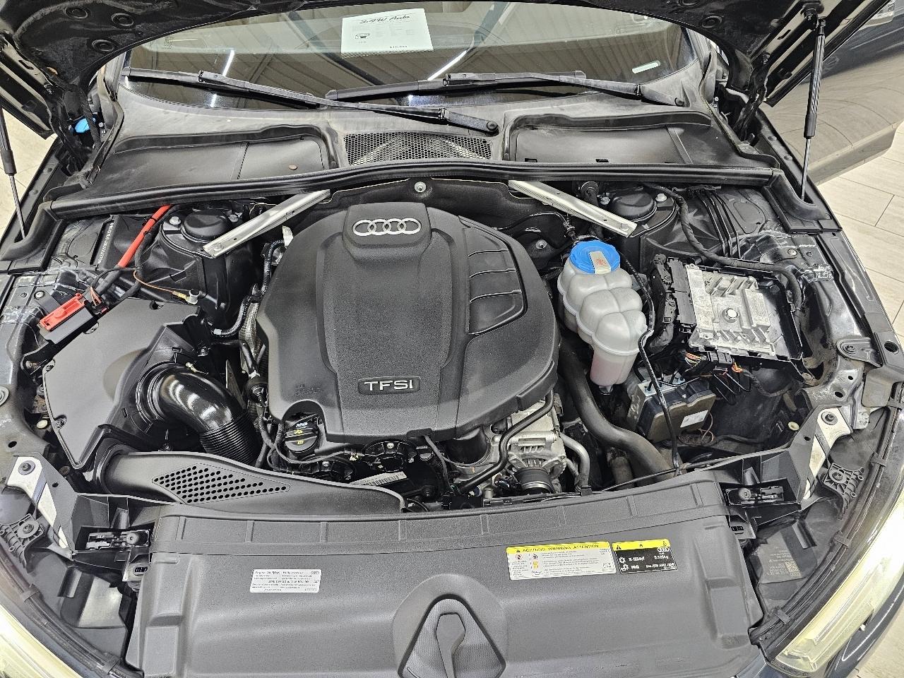 Audi A4 2.0 TFSI Premium Plus quattro 7A 2019