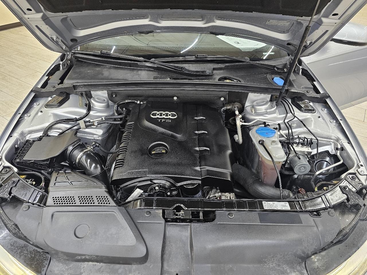 Audi A4 2.0T Premium Plus quattro Sedan AWD 8A 2016