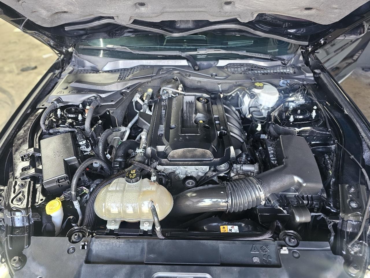 Ford Mustang EcoBoost Coupe 2018