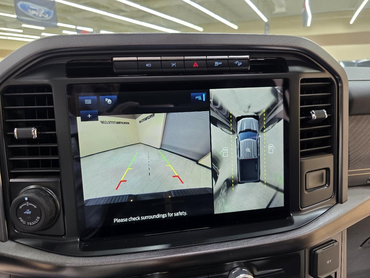 Ford F-150 4WD SuperCrew 145" Platinum 2022