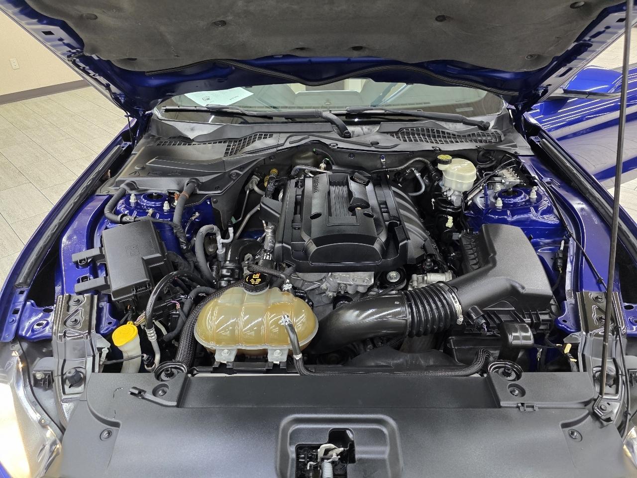 Ford Mustang EcoBoost Coupe 2015