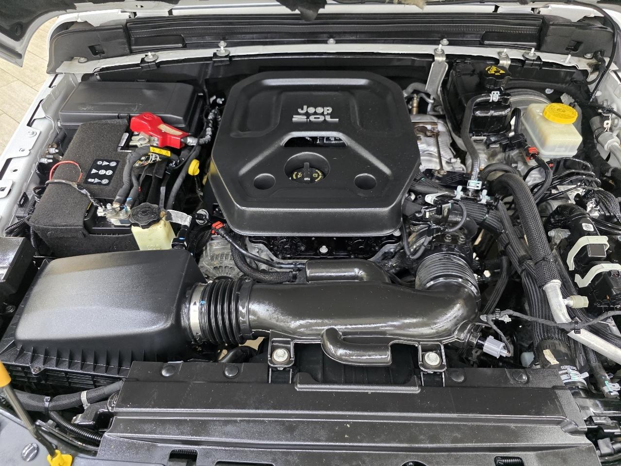 Jeep Wrangler  2021