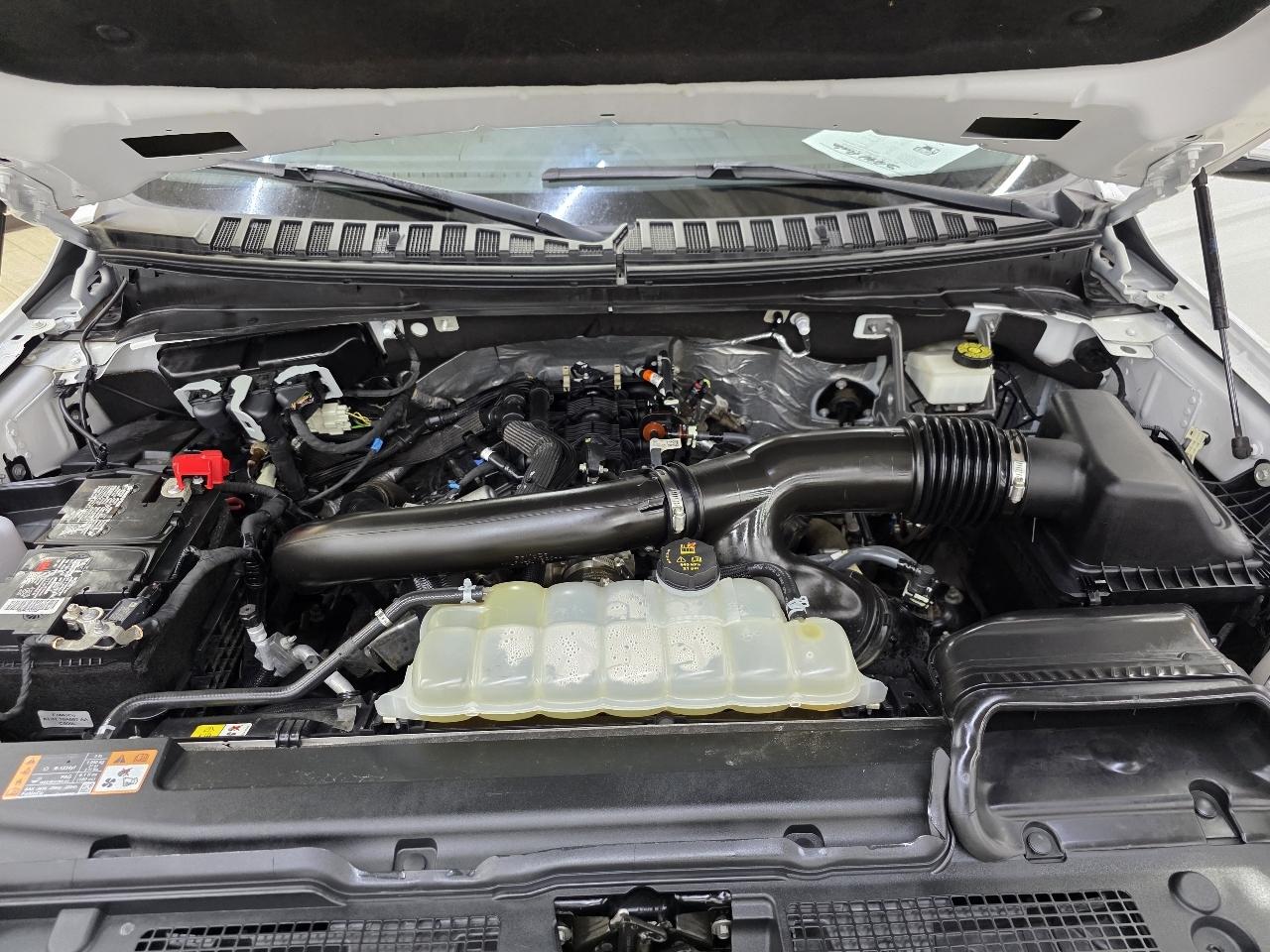 Ford Expedition MAX Limited 2023