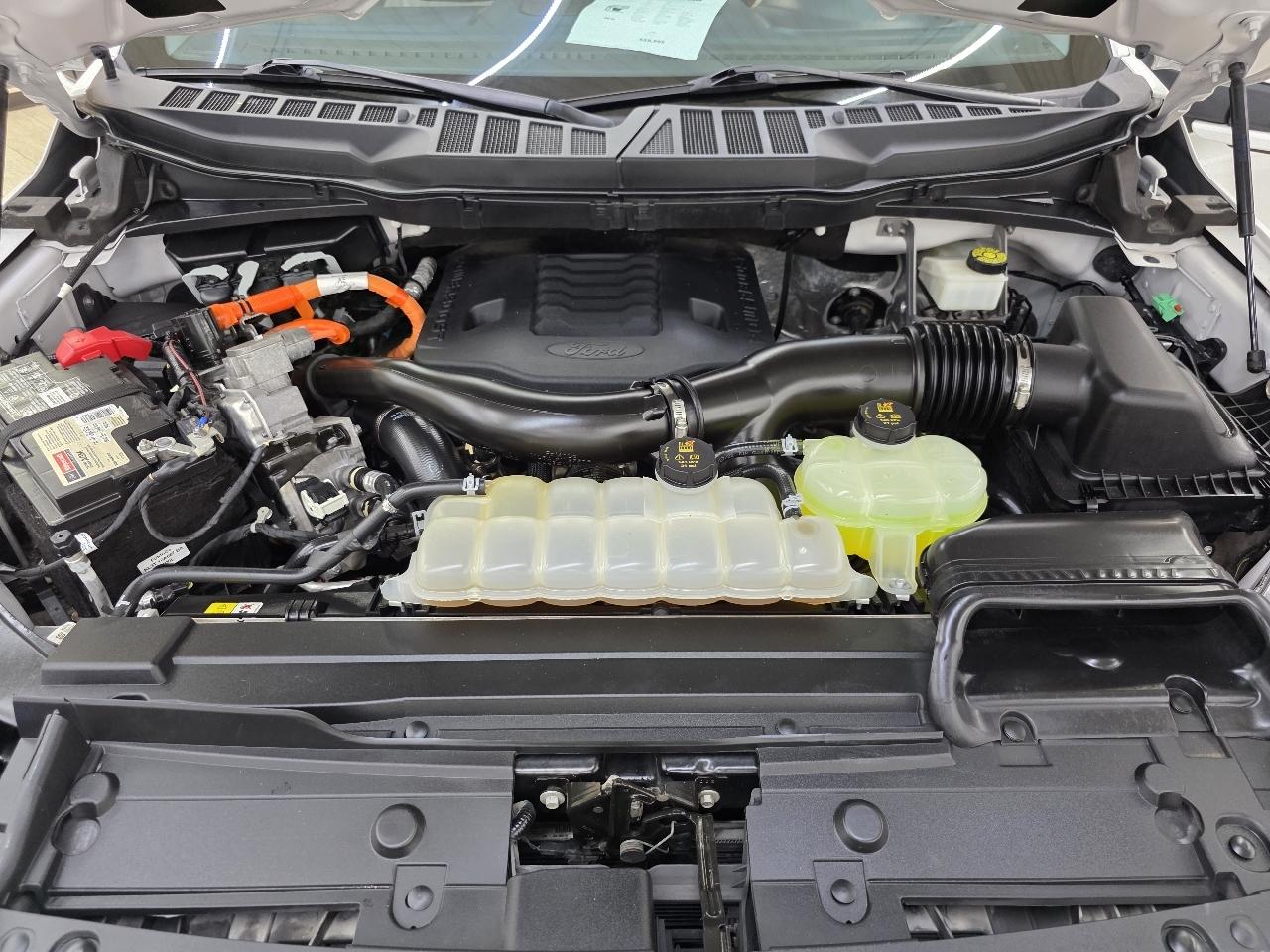 Ford F-150 Limited 4WD SuperCrew 5.5' Box 2023