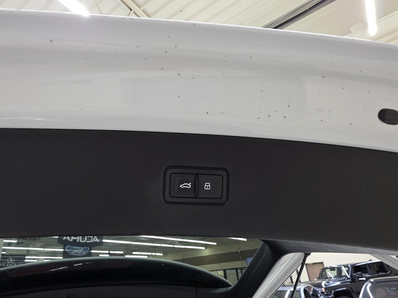 Audi Q7 Premium Plus 55 TFSI quattro 2020
