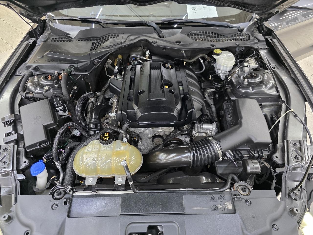 Ford Mustang EcoBoost Coupe 2020