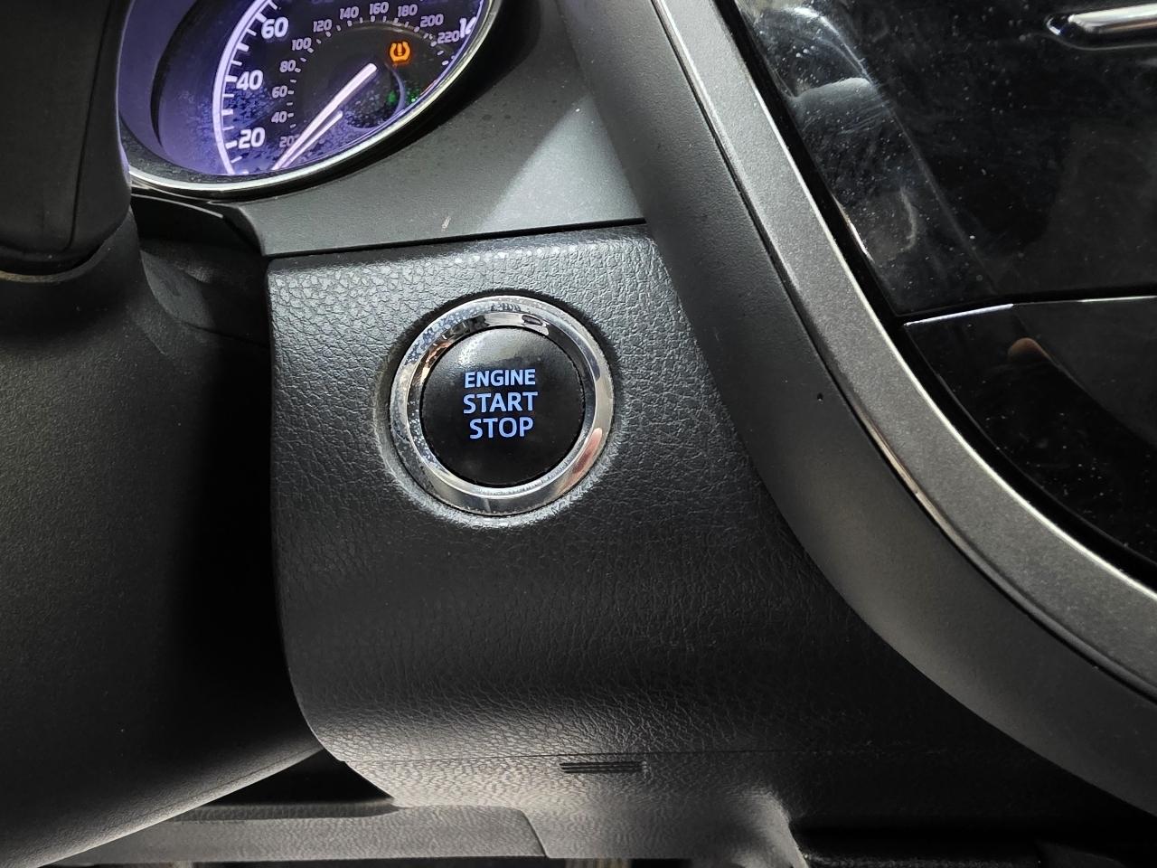 Toyota Camry XLE 2019
