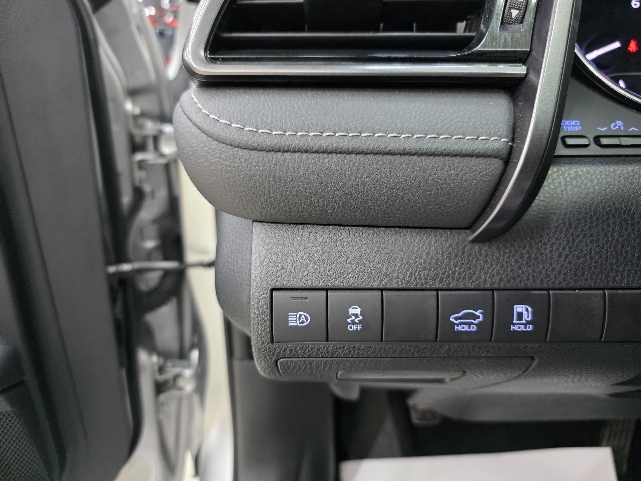 Toyota Camry XLE 2019