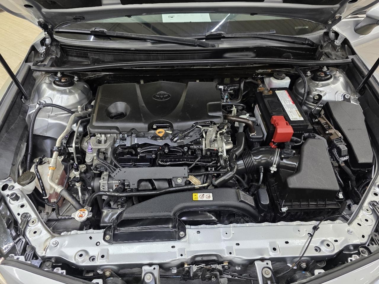 Toyota Camry XLE 2019