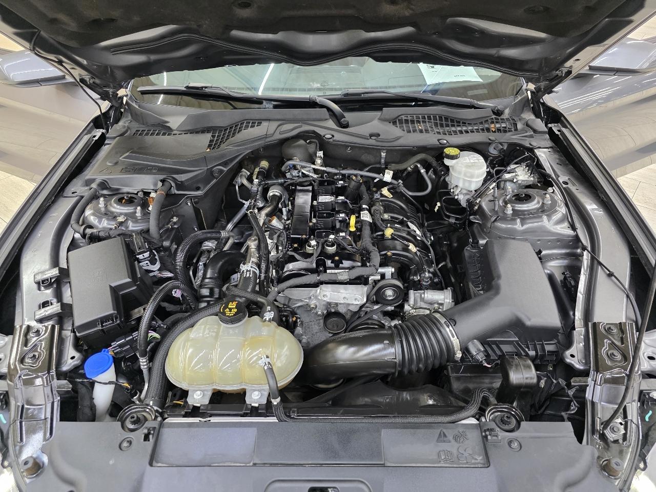 Ford Mustang EcoBoost Coupe 2022