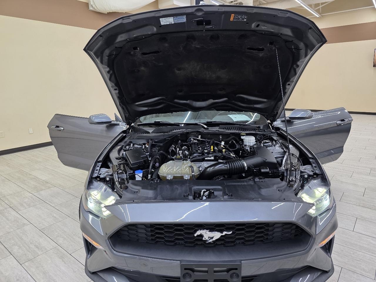 Ford Mustang EcoBoost Coupe 2022