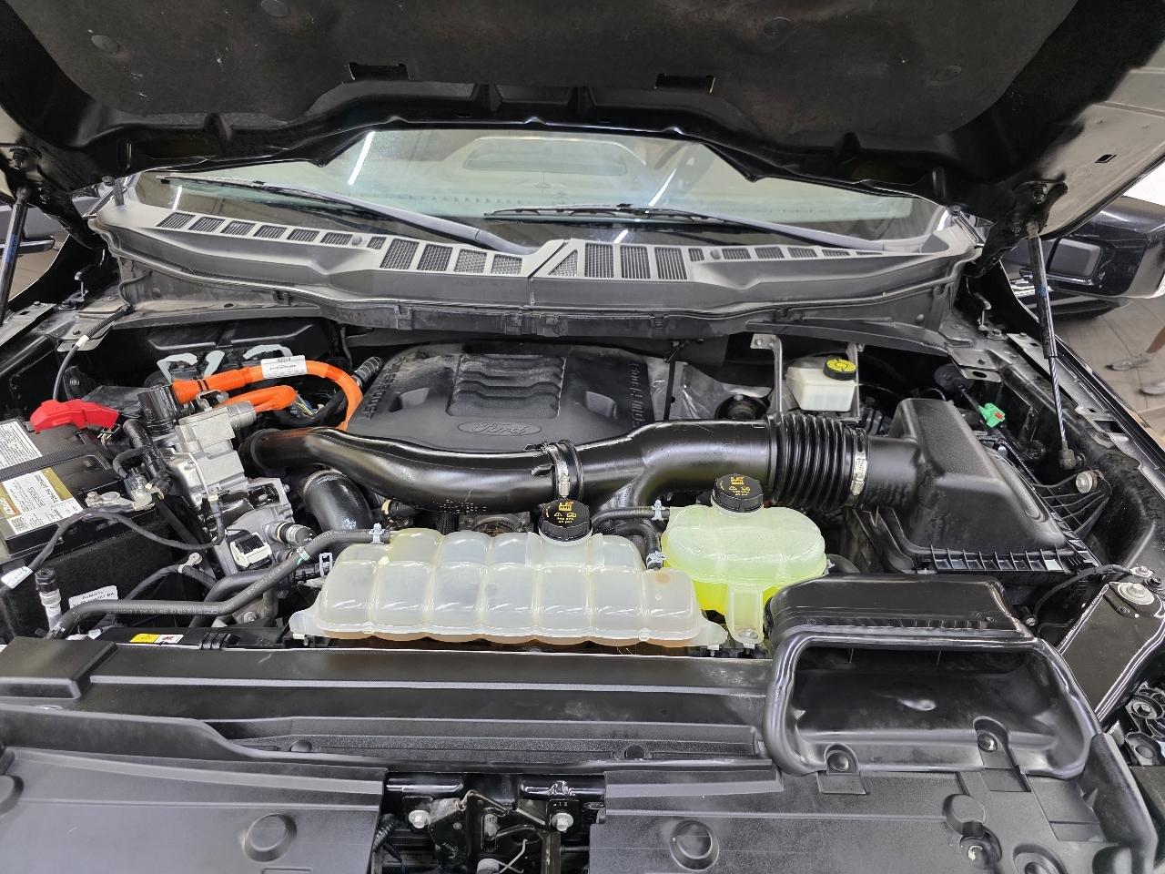 Ford F-150 Lariat SuperCrew 5.5-ft. Bed 4WD 2023