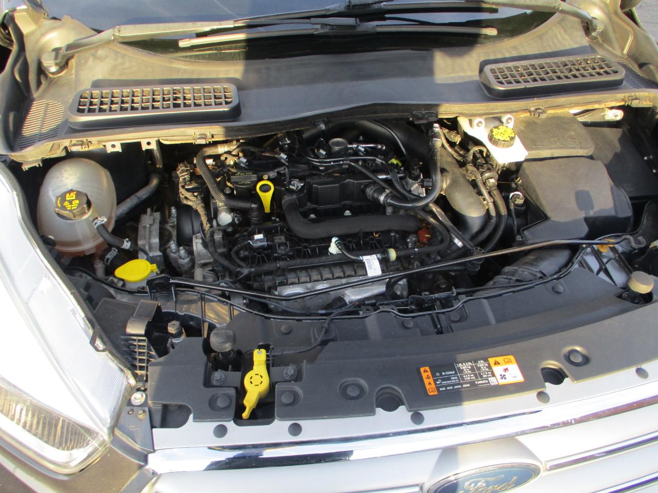 Ford Escape SE 4WD 2019