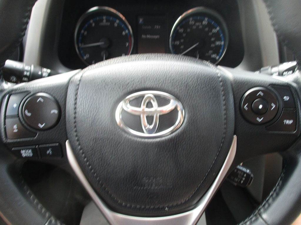 2016 Toyota RAV4 XLE photo 11