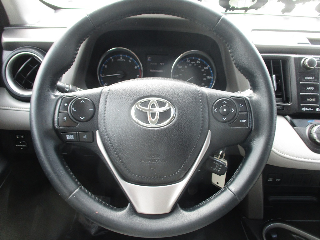 2016 Toyota RAV4 XLE photo 13