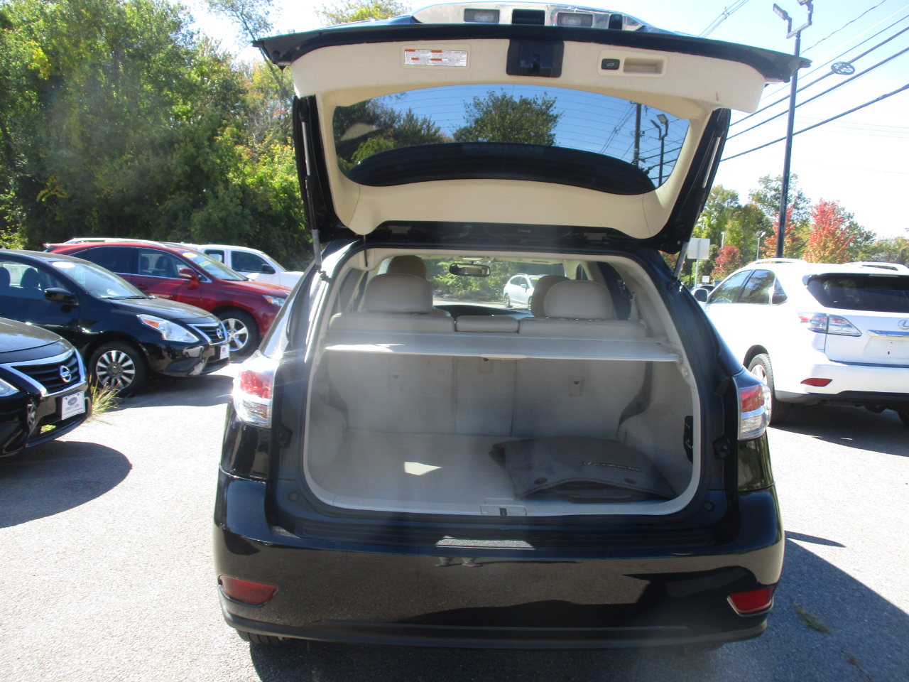 2015 Lexus RX 350 photo 6