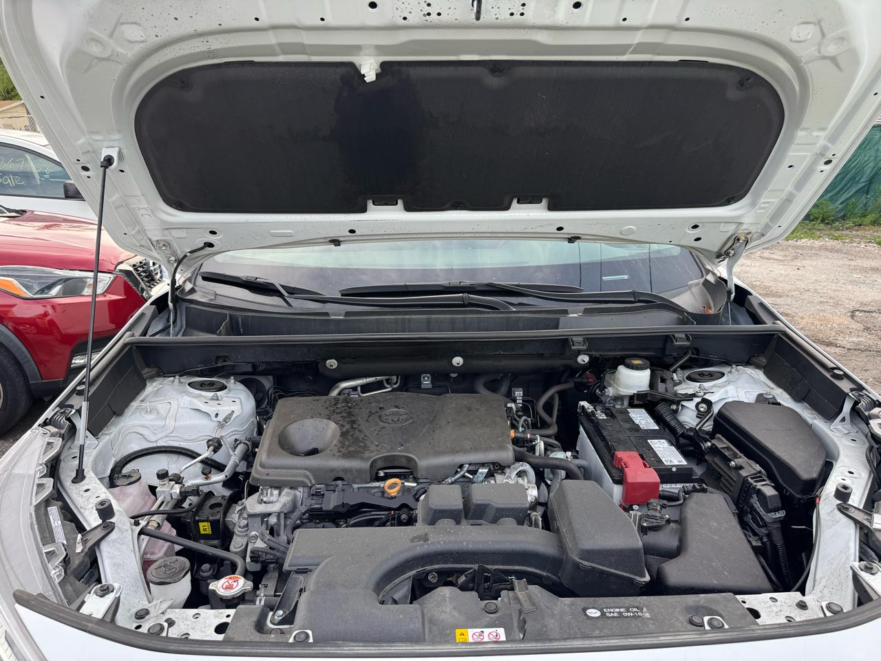 Toyota RAV4 LE 2024
