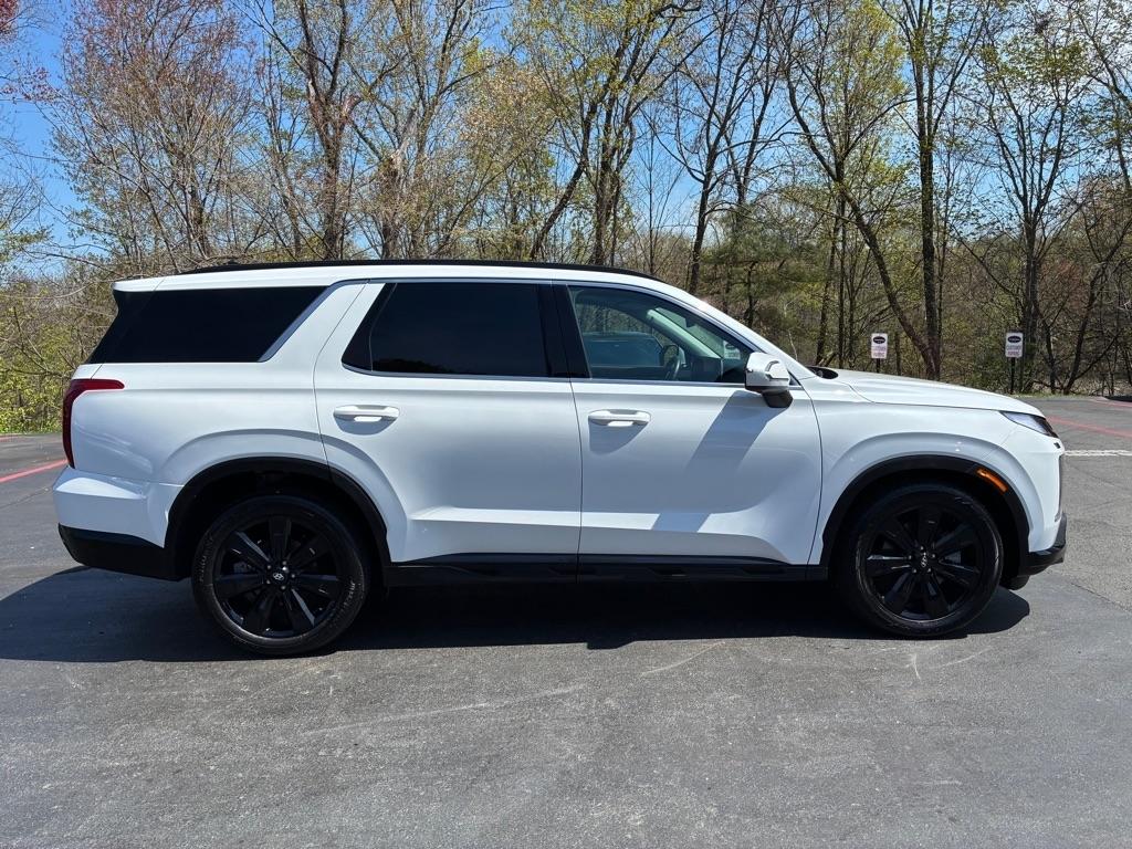 Hyundai Palisade  2025