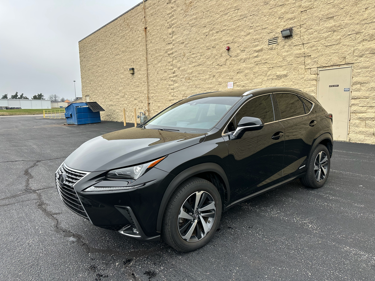 2020 Lexus NX Hybrid 300h's photo