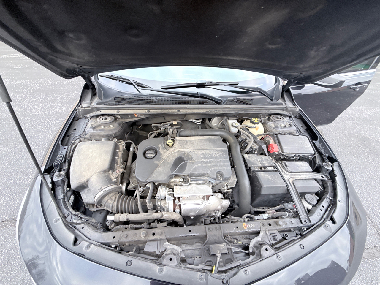 Chevrolet Malibu LS 2022