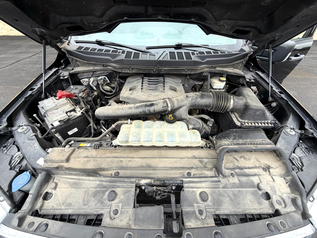 Ford F-150 XL SuperCrew 6.5-ft. Bed 4WD 2022