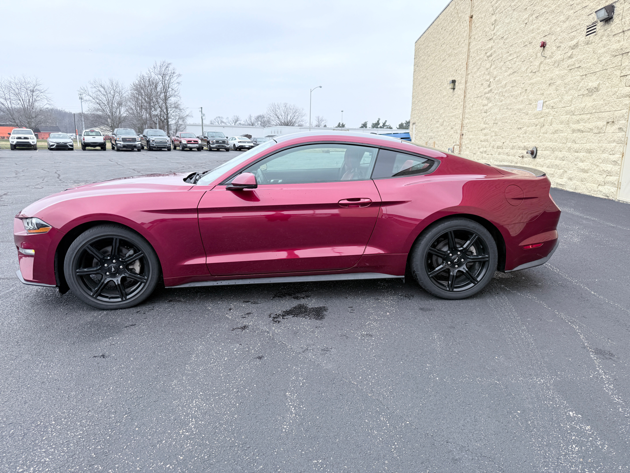 Ford Mustang EcoBoost Coupe 2019