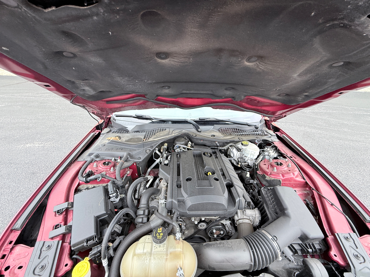 Ford Mustang EcoBoost Coupe 2019