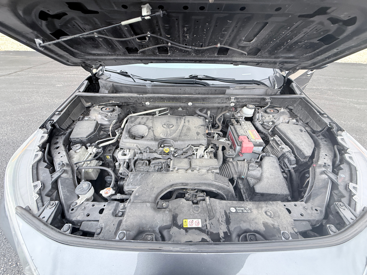 Toyota RAV4 XLE Premium AWD 2019