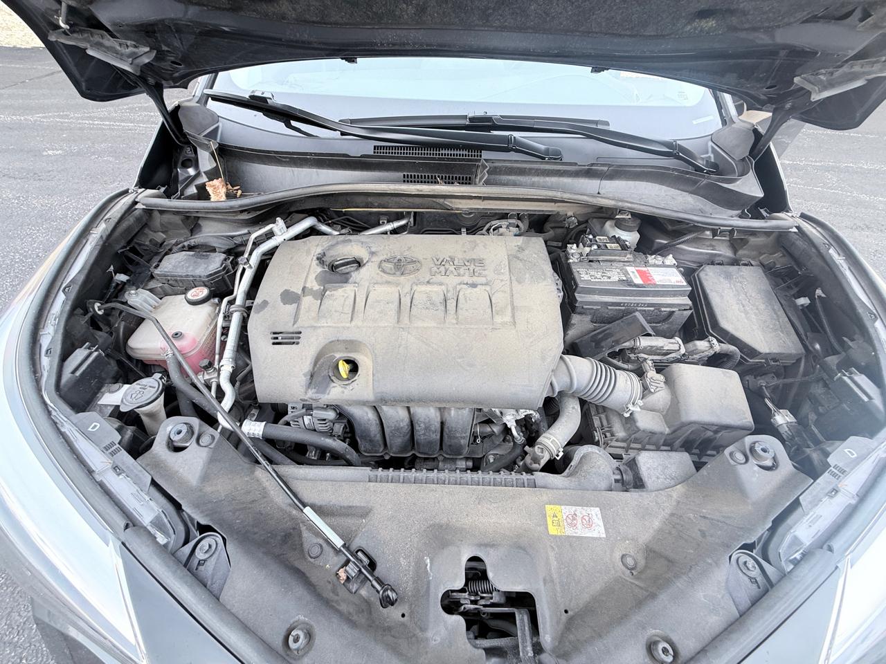 Toyota C-HR XLE 2020