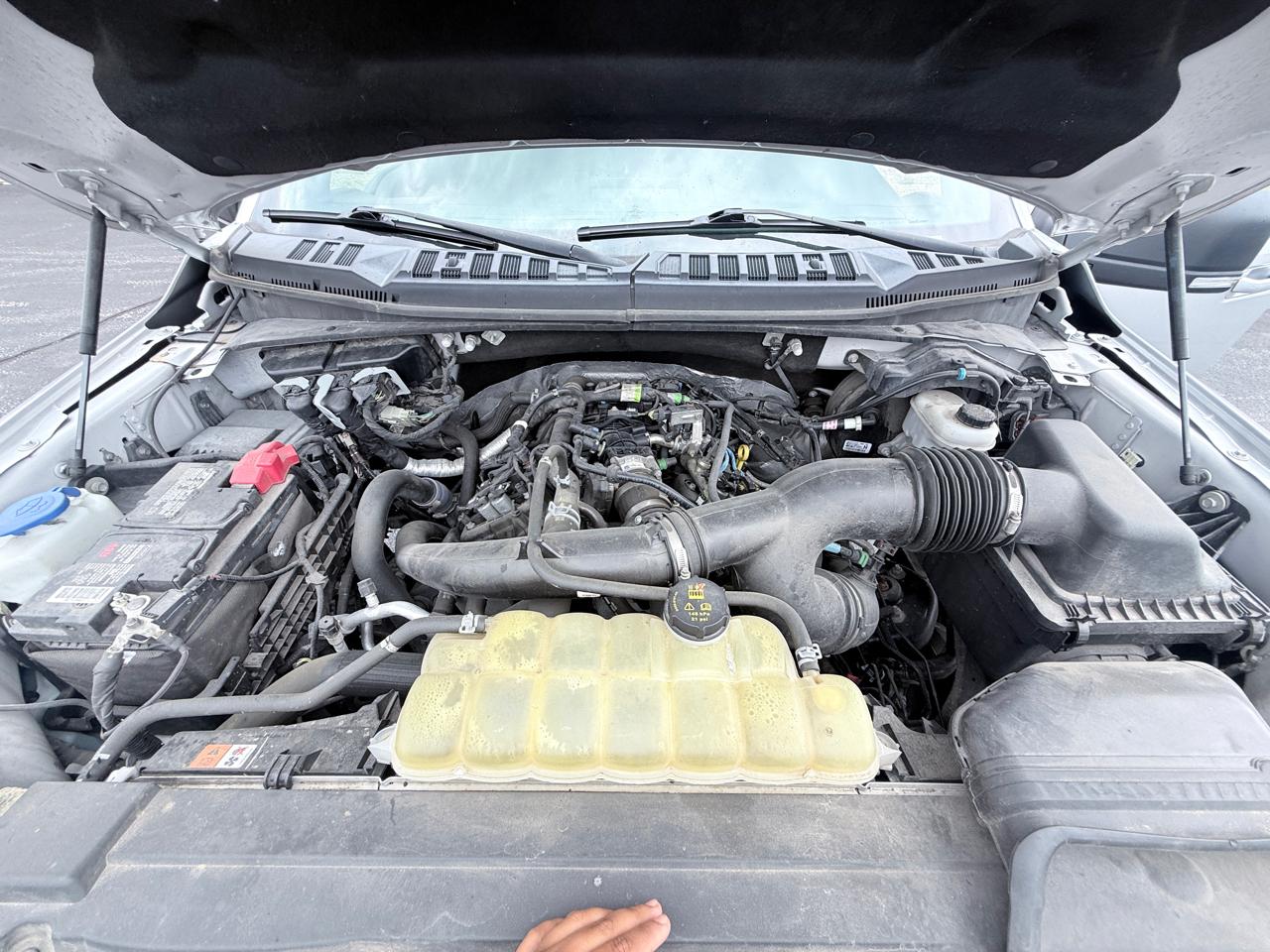 Ford F-150 King-Ranch SuperCrew 5.5-ft. 4WD 2019