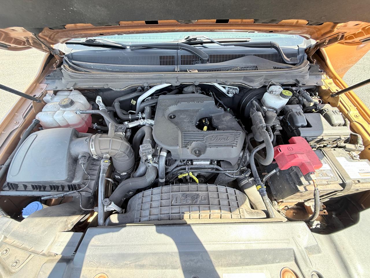 Ford Ranger XLT SuperCrew 4WD 2019